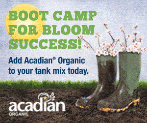 12366_APH_Bloom_Campaign_300x250_Acadian_Organic_Almonds-final(1)