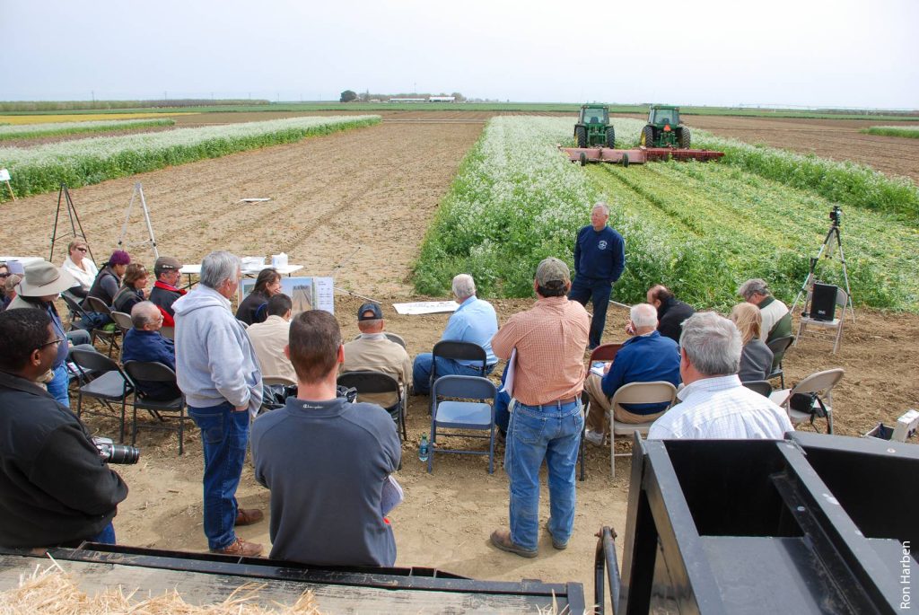 Cover Crops in California Agriculture: An Overview of Current Research ...