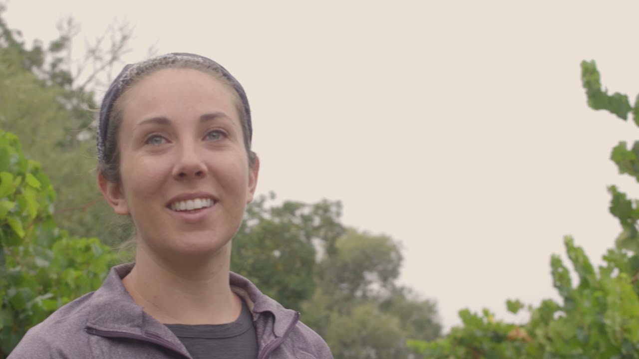 New, ThreeYear Field Trial Results on the Efficacy of XylPhiPD™ for