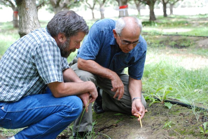 News, Progressive Crop Consultant, Leading Magazine for Ag Professionals