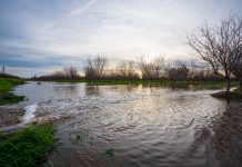 Groundwater Banking on California Croplands