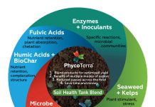 It’s All in the Tank Mix: New Ways to Blend Soil Health Products for Higher Profits