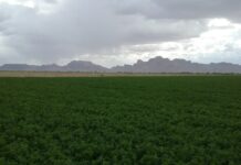 Growing the Crop Consultant Industry One Reader at a Time