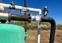 Application of CropManage Irrigation Online Decision-Support Tool for Processing Tomato and Watermelon Production in the Northern San Joaquin Valley