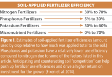 Outsmarting Your Fertilizer “Competition” to Improve Uptake Efficiency