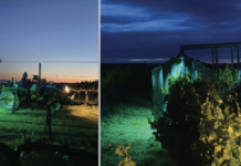 Field-Scale Ultraviolet-C Light Applications to Manage Grapevine Powdery Mildew