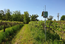Soil Moisture Sensing Technologies and Their Applications for Irrigation Management in Grape Production
