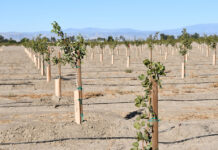 Helping Growers Evaluate a New Crop Enterprise: Factors to Consider