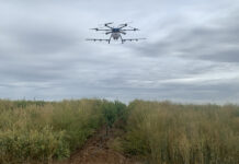 DPR’s New Pesticide Review Process Could Reshape Product Availability