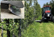 Powering Up Weed Control: Performance and Potential of Electrical Weeding in Perennial Crops