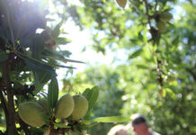 Get Ahead With Early CE Planning